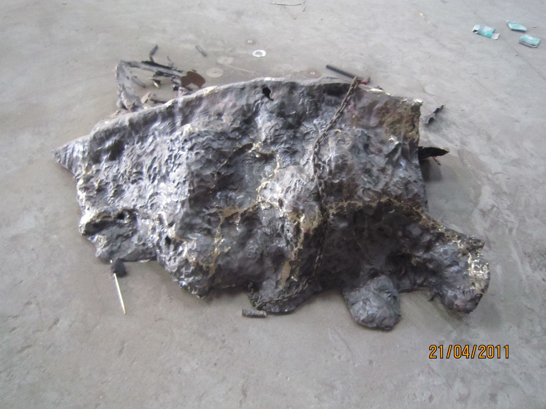 Bjorn Nodenhake Lone Animal 6