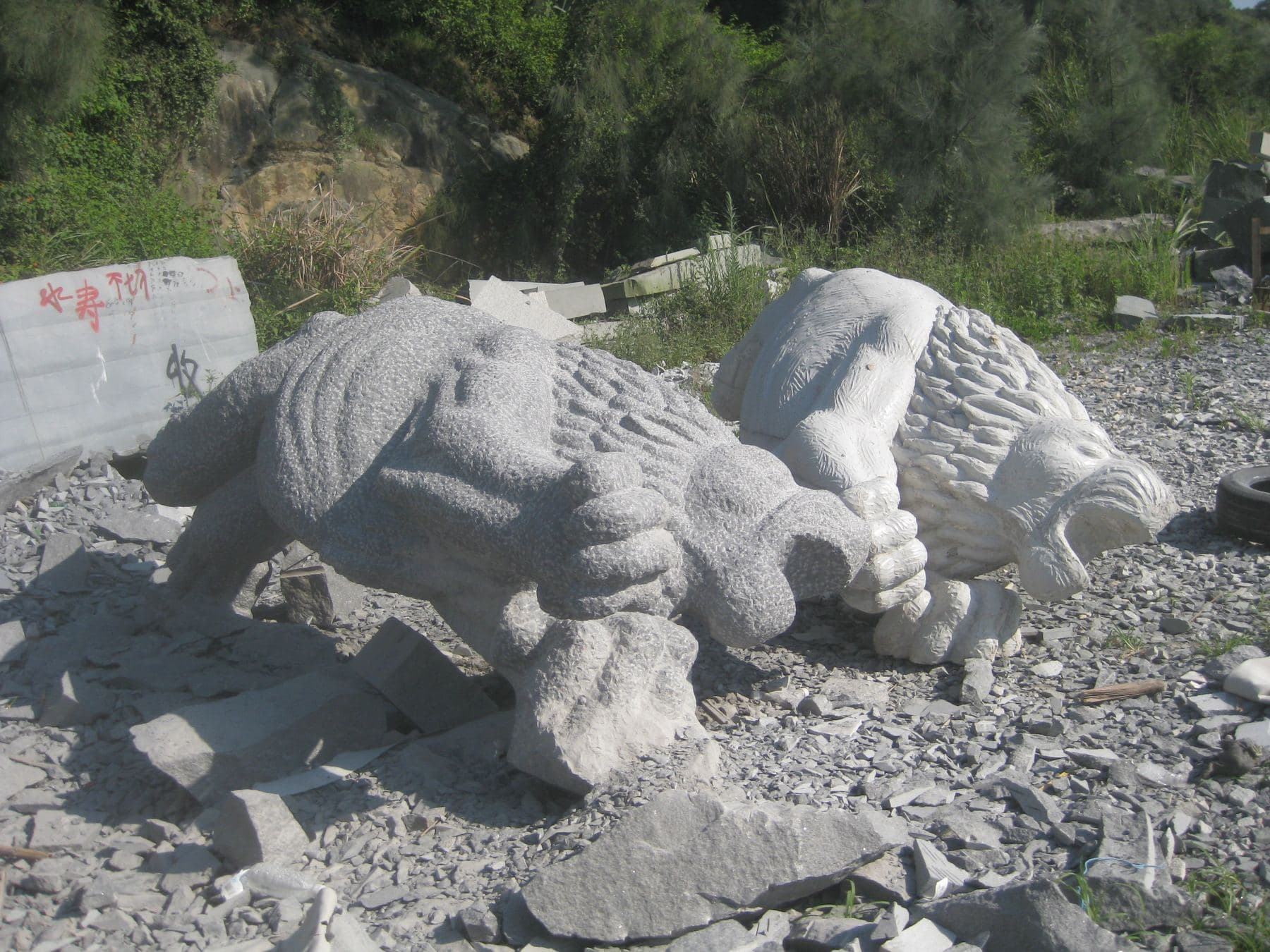 Claus Lions 18
