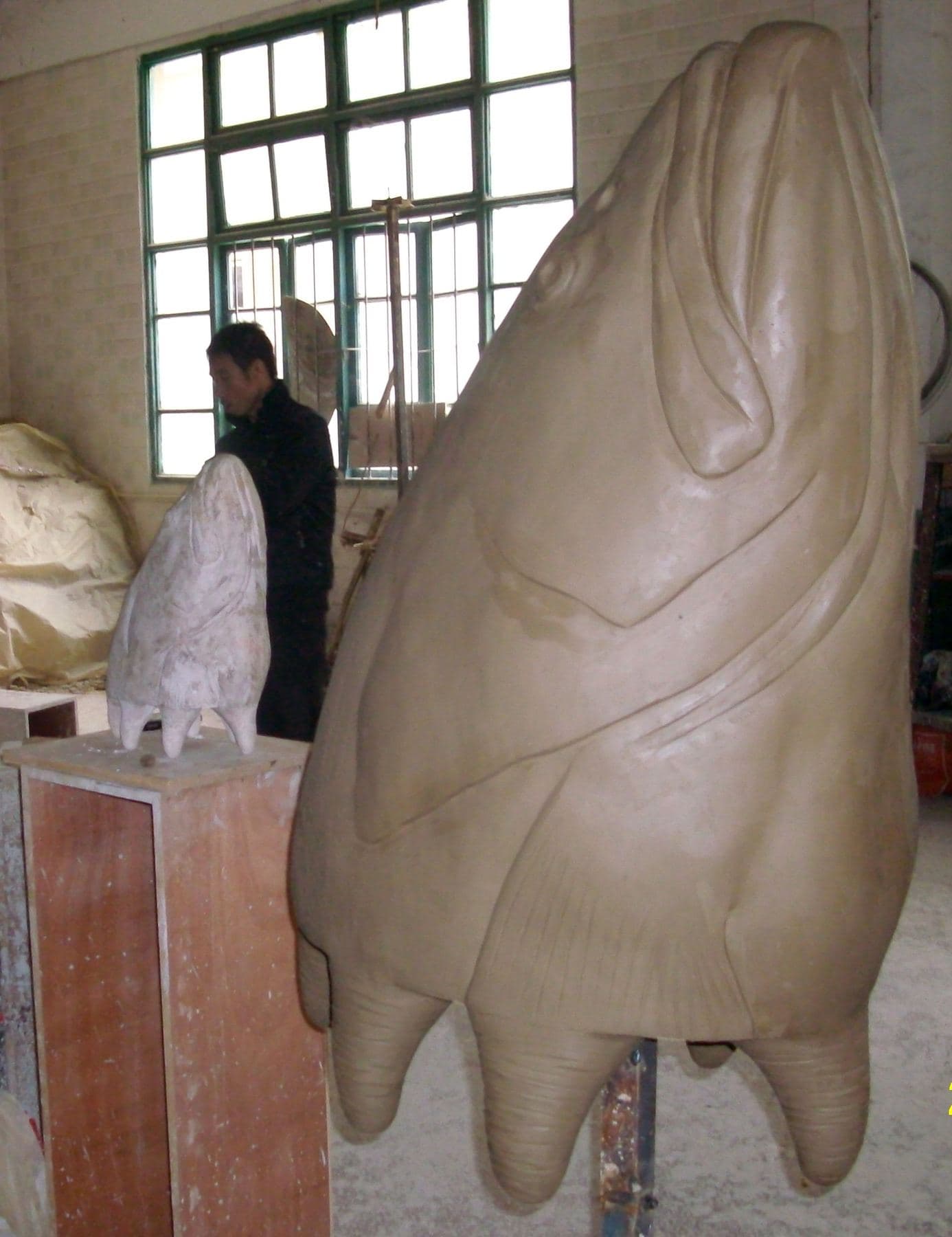Colette Fishhead 2