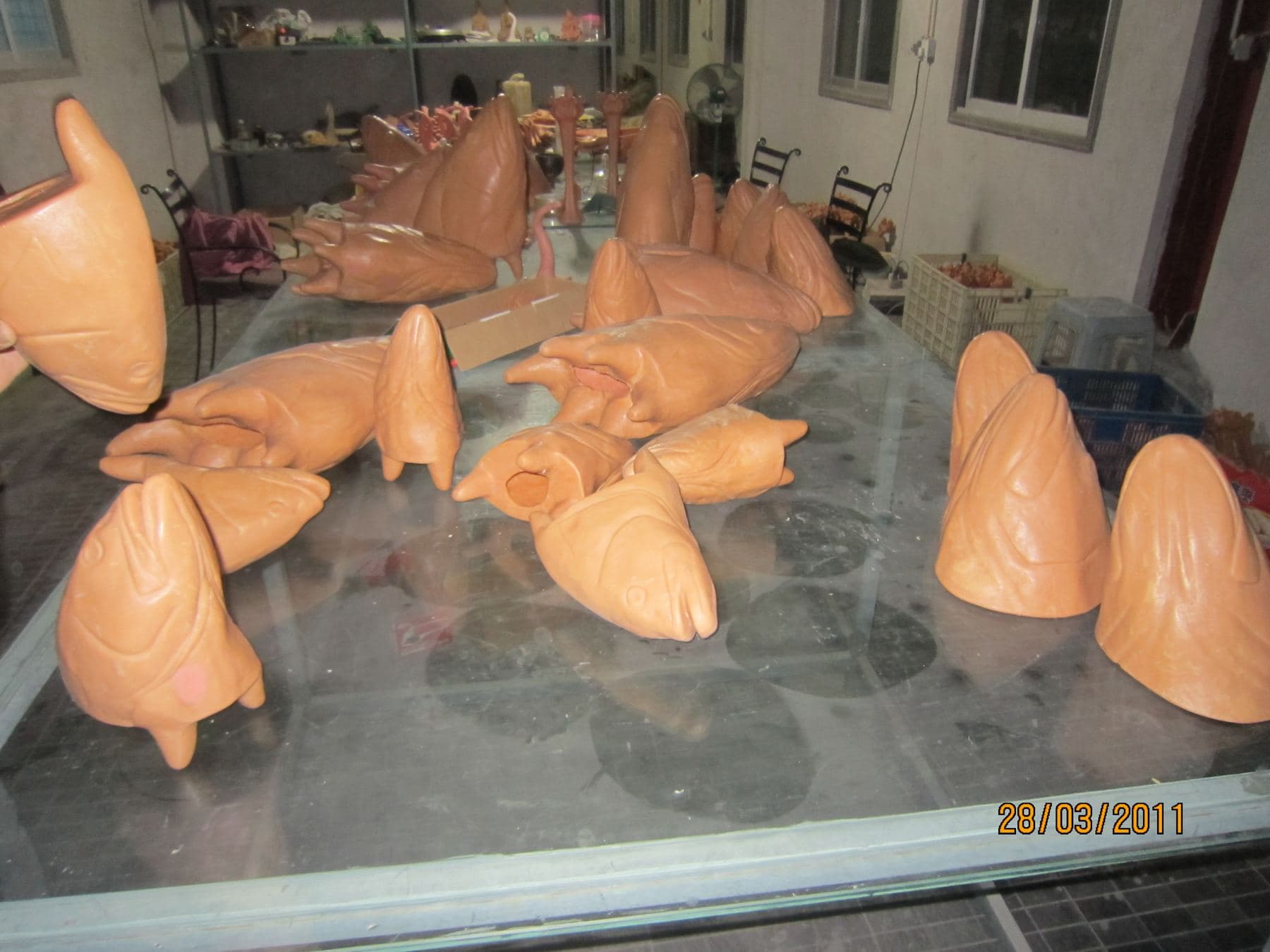 Colette Fishhead 9