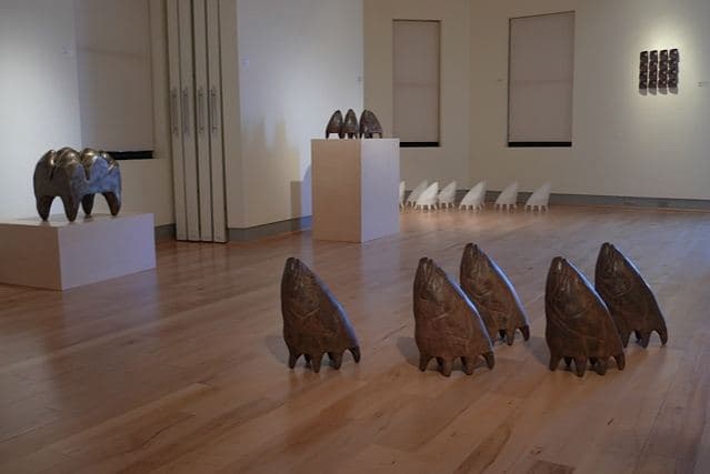 Colette Fishhead 17