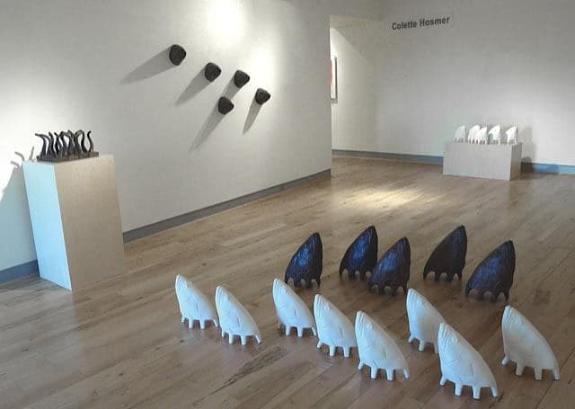 Colette Fishhead 18