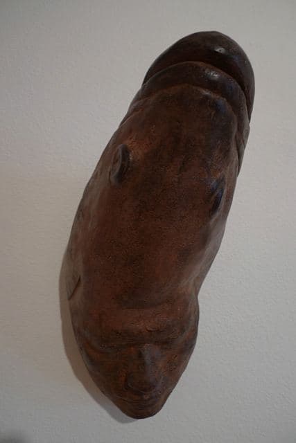 Colette Fishhead 23