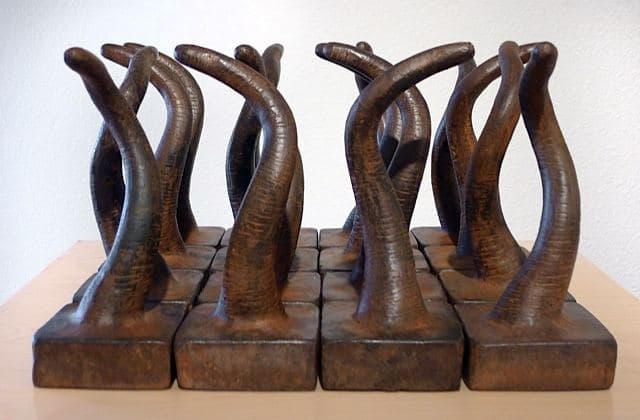 Colette Fishhead 27