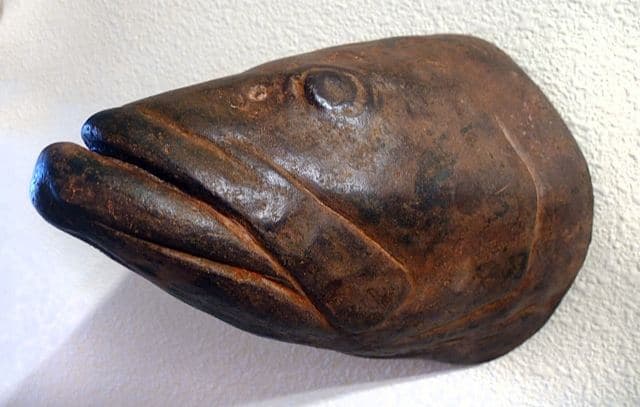 Colette Fishhead 29